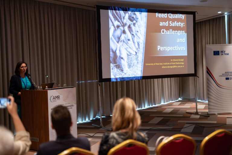 jpeg-optimizer_DSC_194