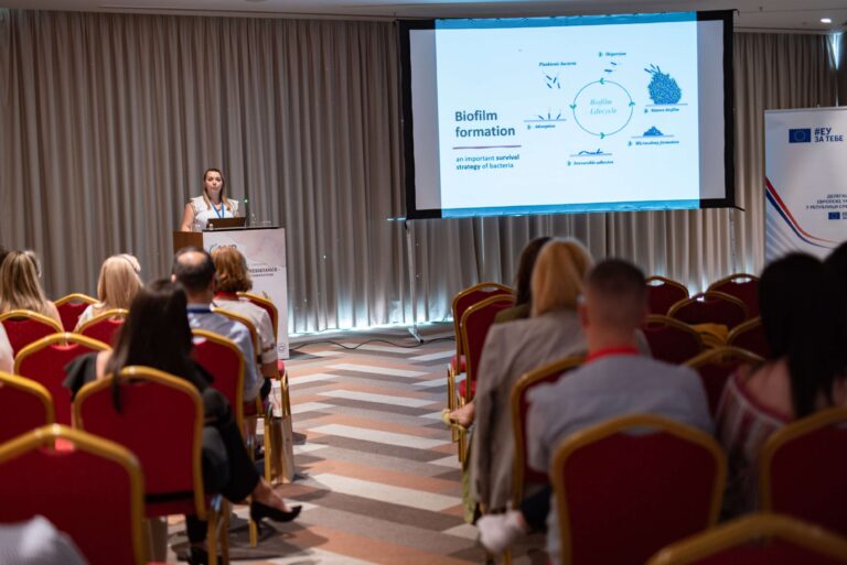 jpeg-optimizer_DSC_253