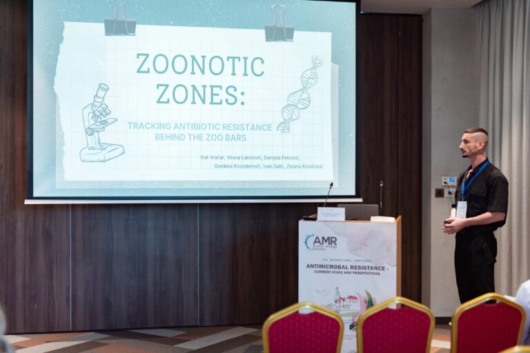 jpeg-optimizer_DSC_262