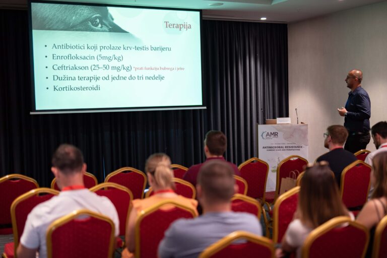 jpeg-optimizer_DSC_344