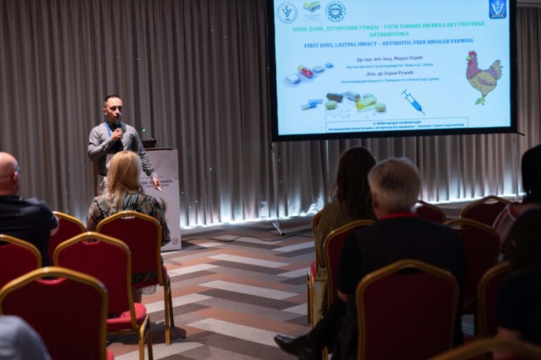 jpeg-optimizer_DSC_377