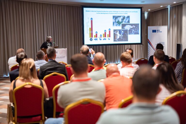 jpeg-optimizer_DSC_559