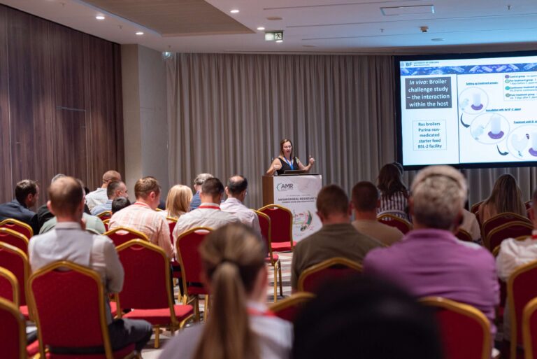 jpeg-optimizer_DSC_577