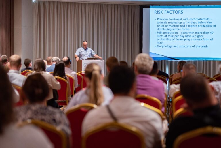 jpeg-optimizer_DSC_592