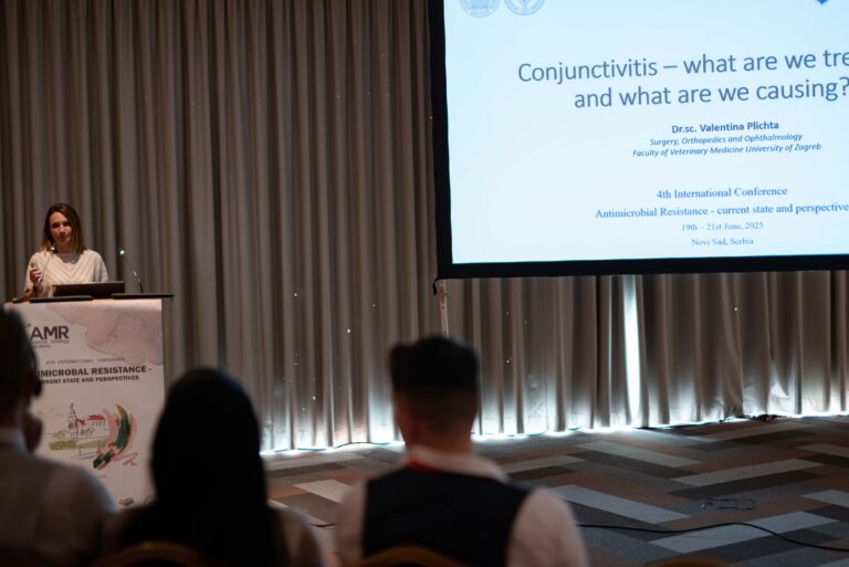 jpeg-optimizer_DSC_691