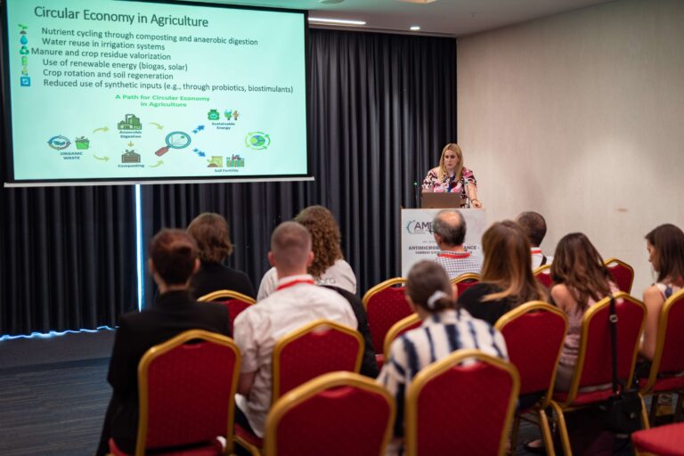 jpeg-optimizer_DSC_739